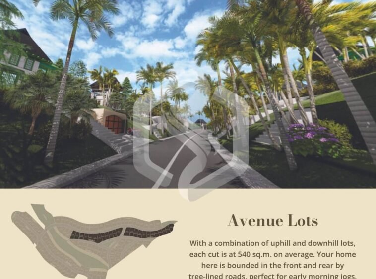 avenue lot for sale