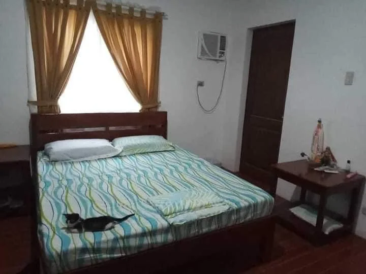 oslob house and lot for sale 3