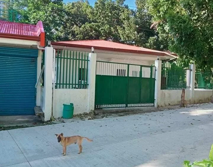 oslob house and lot for sale 5