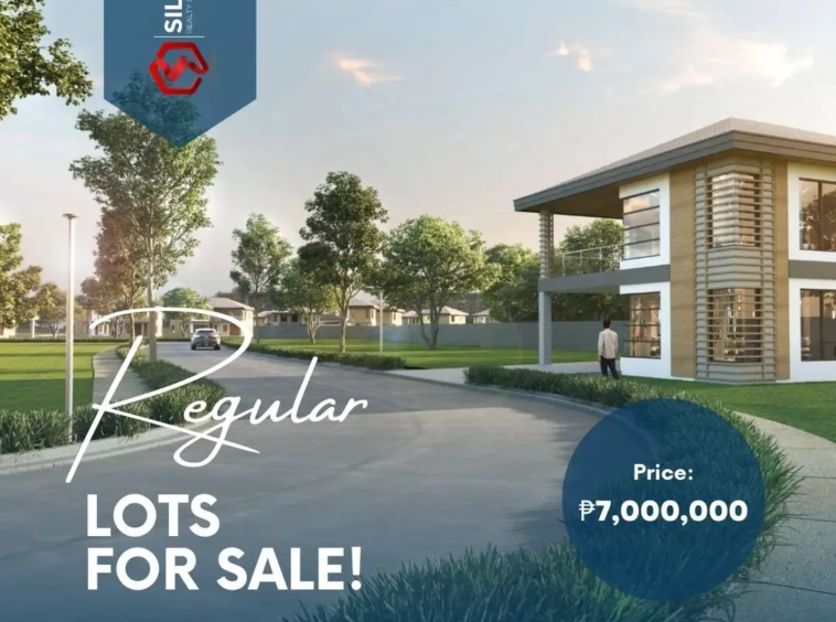 regular lots for sale infographics