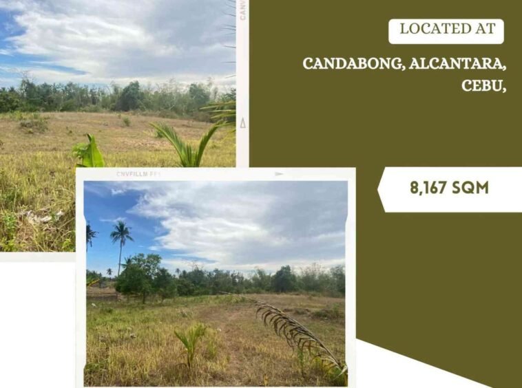 alcantara lot for sale infographic