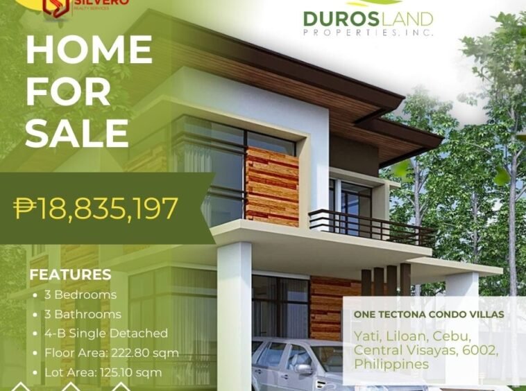 one tectona villas 4B single detached infographic