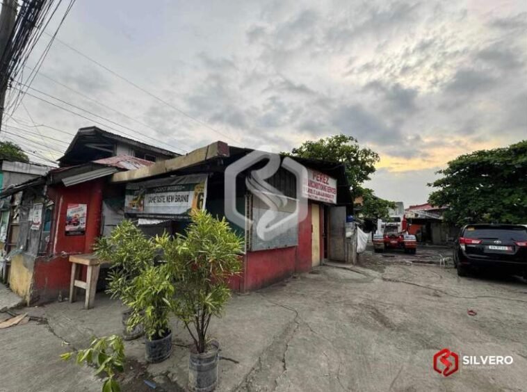 alang-alang mandaue for sale 1