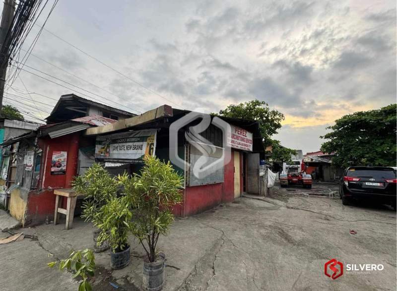 alang-alang mandaue for sale 1