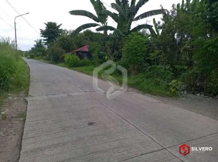 ormoc city lot for sale 4