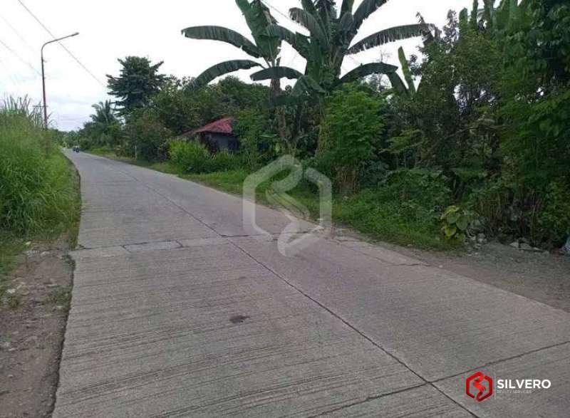 ormoc city lot for sale 4