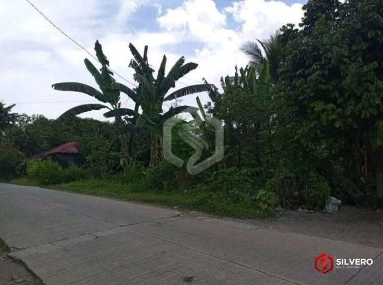 ormoc city lot for sale 5