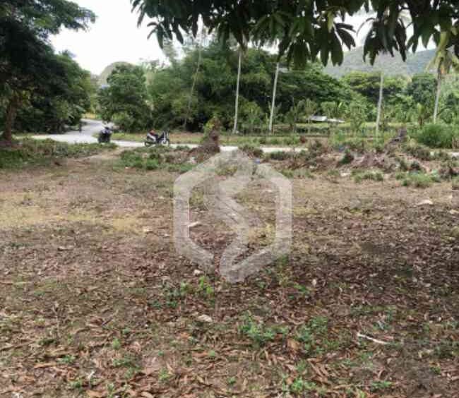 sibonga lot for sale 1