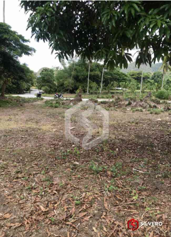 sibonga lot for sale 1