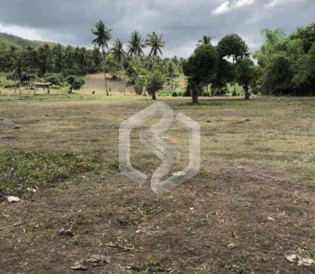 sibonga lot for sale 2